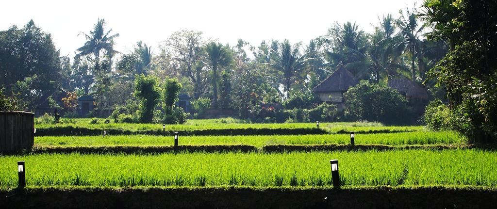 Saren Indah Hotel - CHSE Certified Ubud Exterior foto