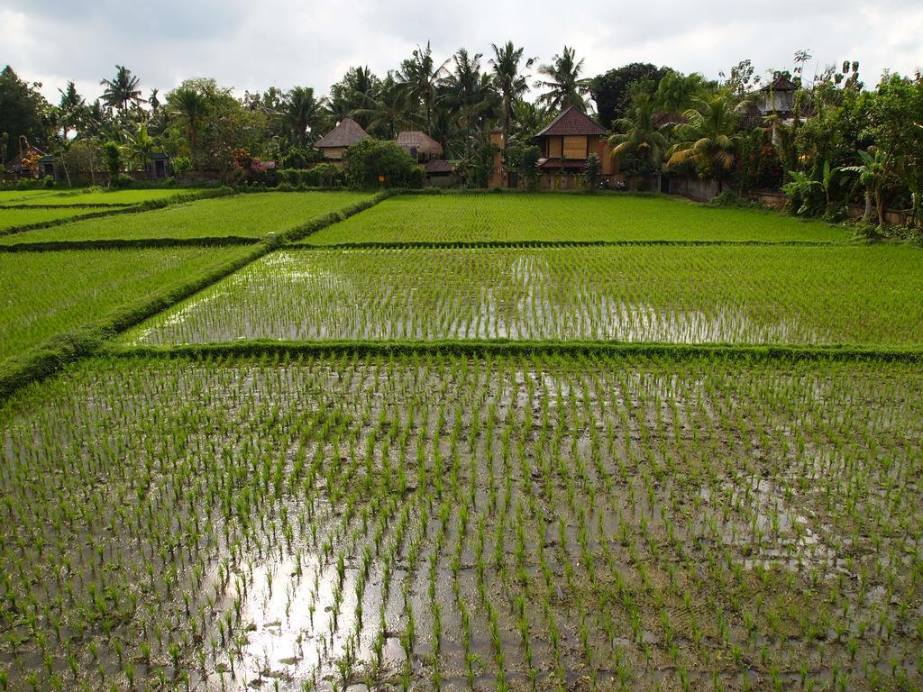 Saren Indah Hotel - CHSE Certified Ubud Exterior foto