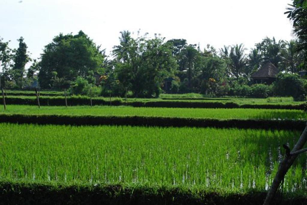 Saren Indah Hotel - CHSE Certified Ubud Exterior foto