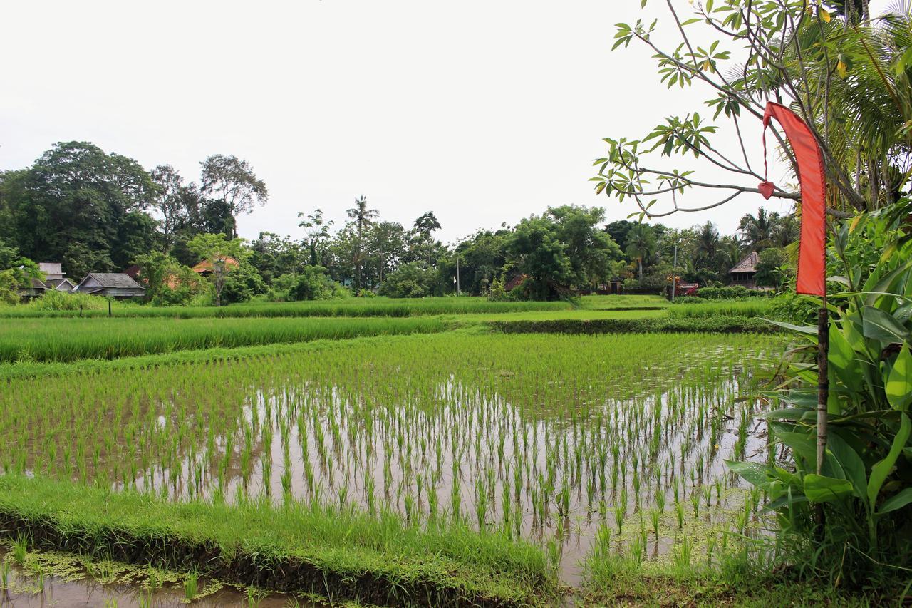 Saren Indah Hotel - CHSE Certified Ubud Exterior foto