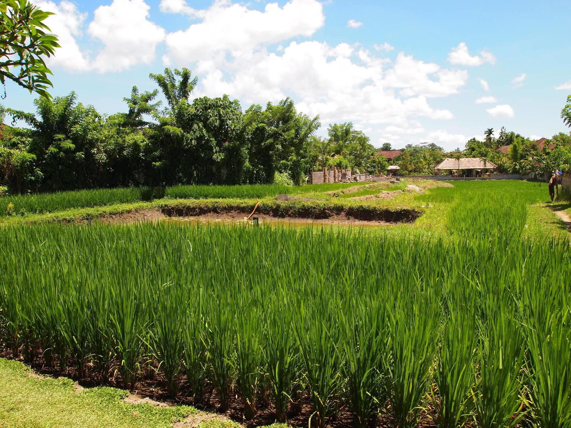 Saren Indah Hotel - CHSE Certified Ubud Exterior foto