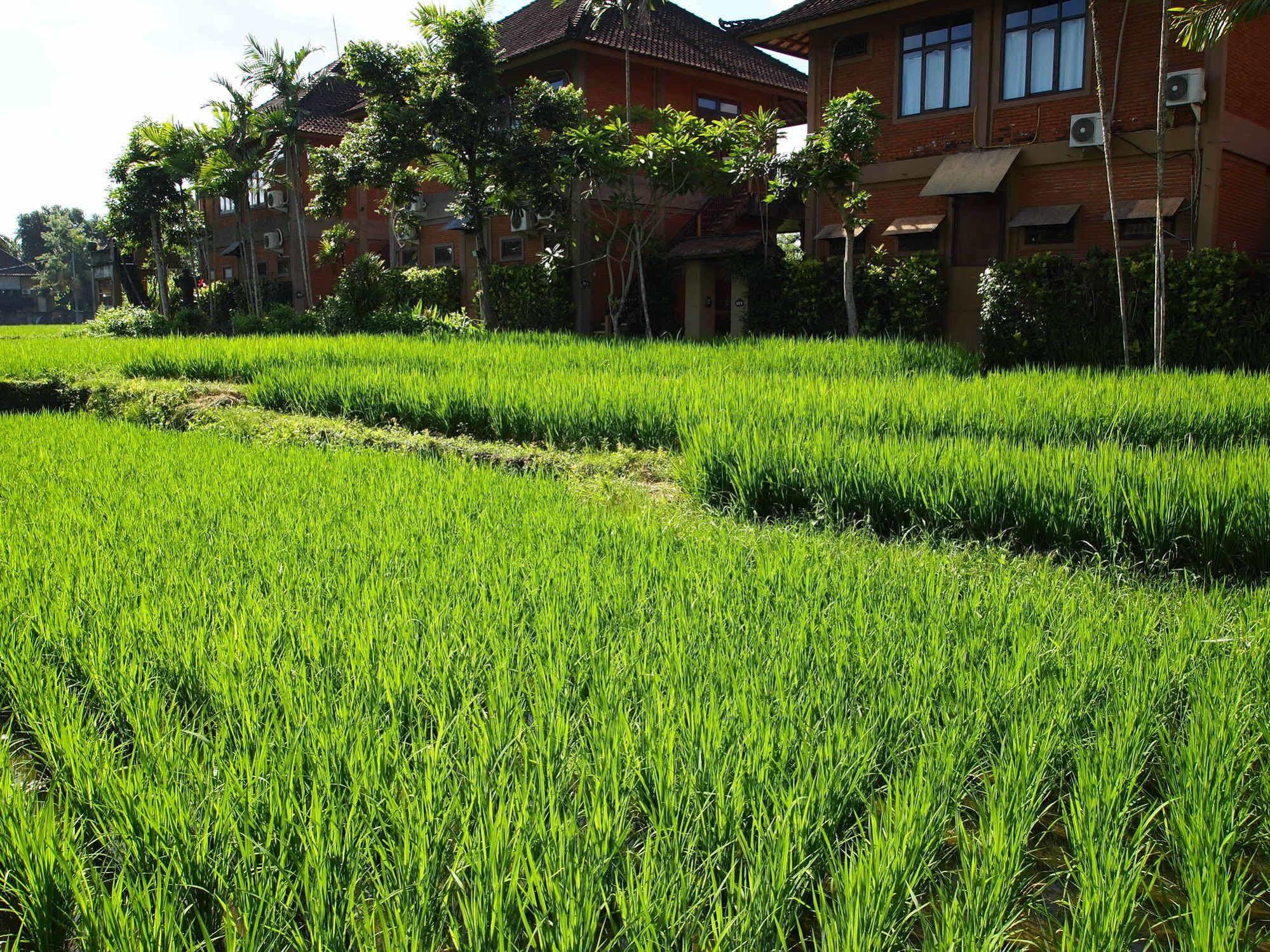 Saren Indah Hotel - CHSE Certified Ubud Exterior foto