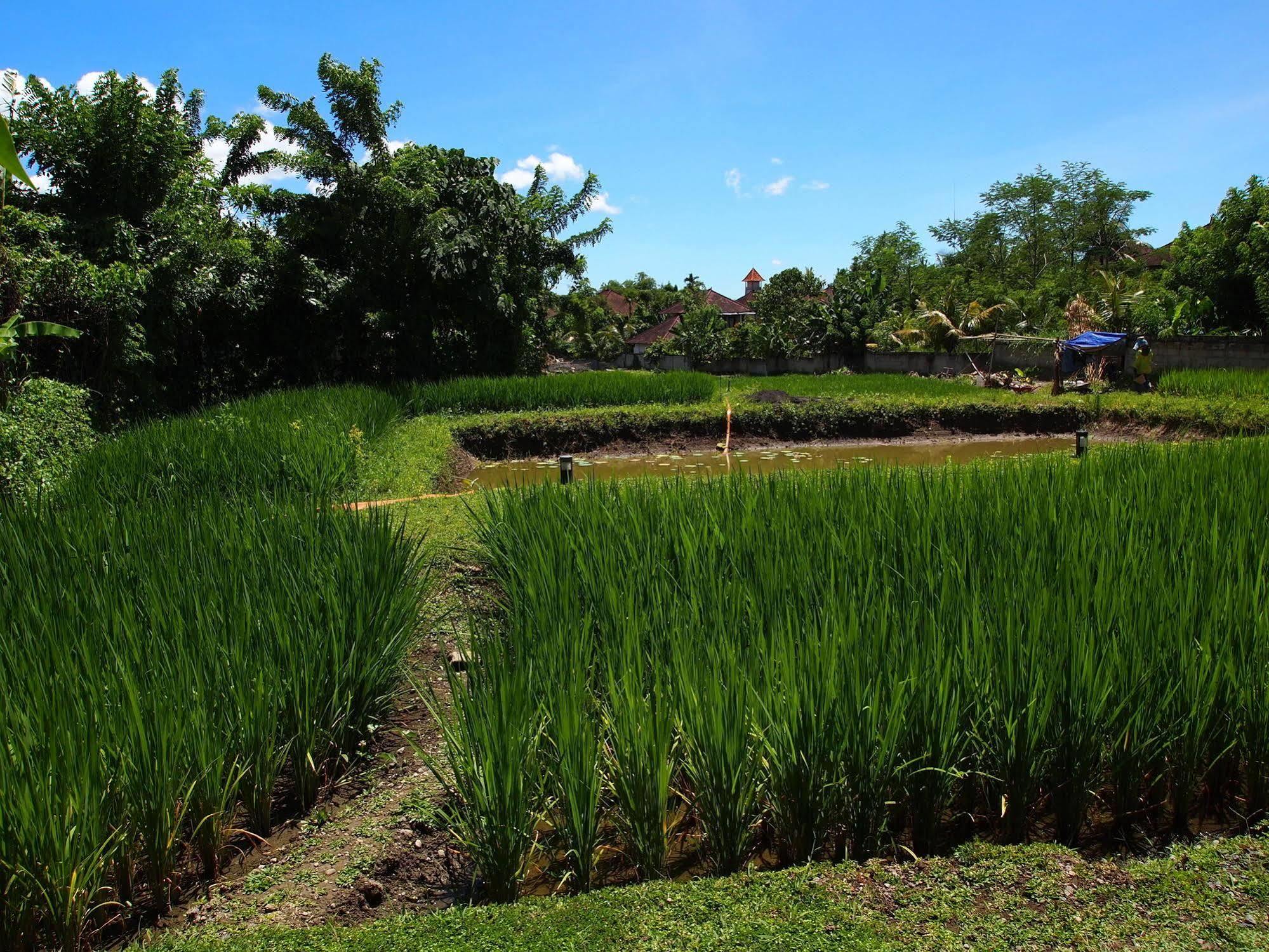 Saren Indah Hotel - CHSE Certified Ubud Exterior foto