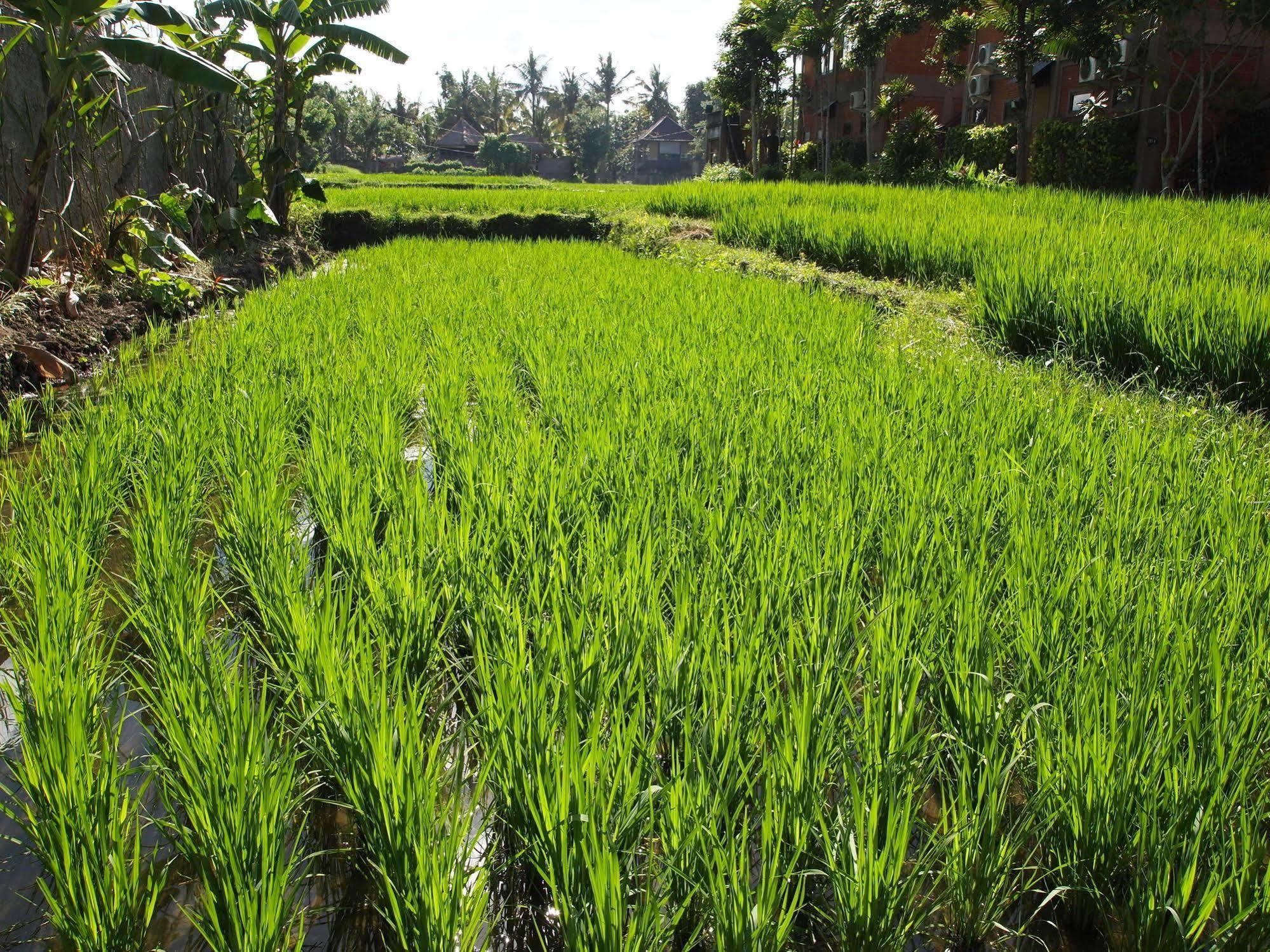 Saren Indah Hotel - CHSE Certified Ubud Exterior foto