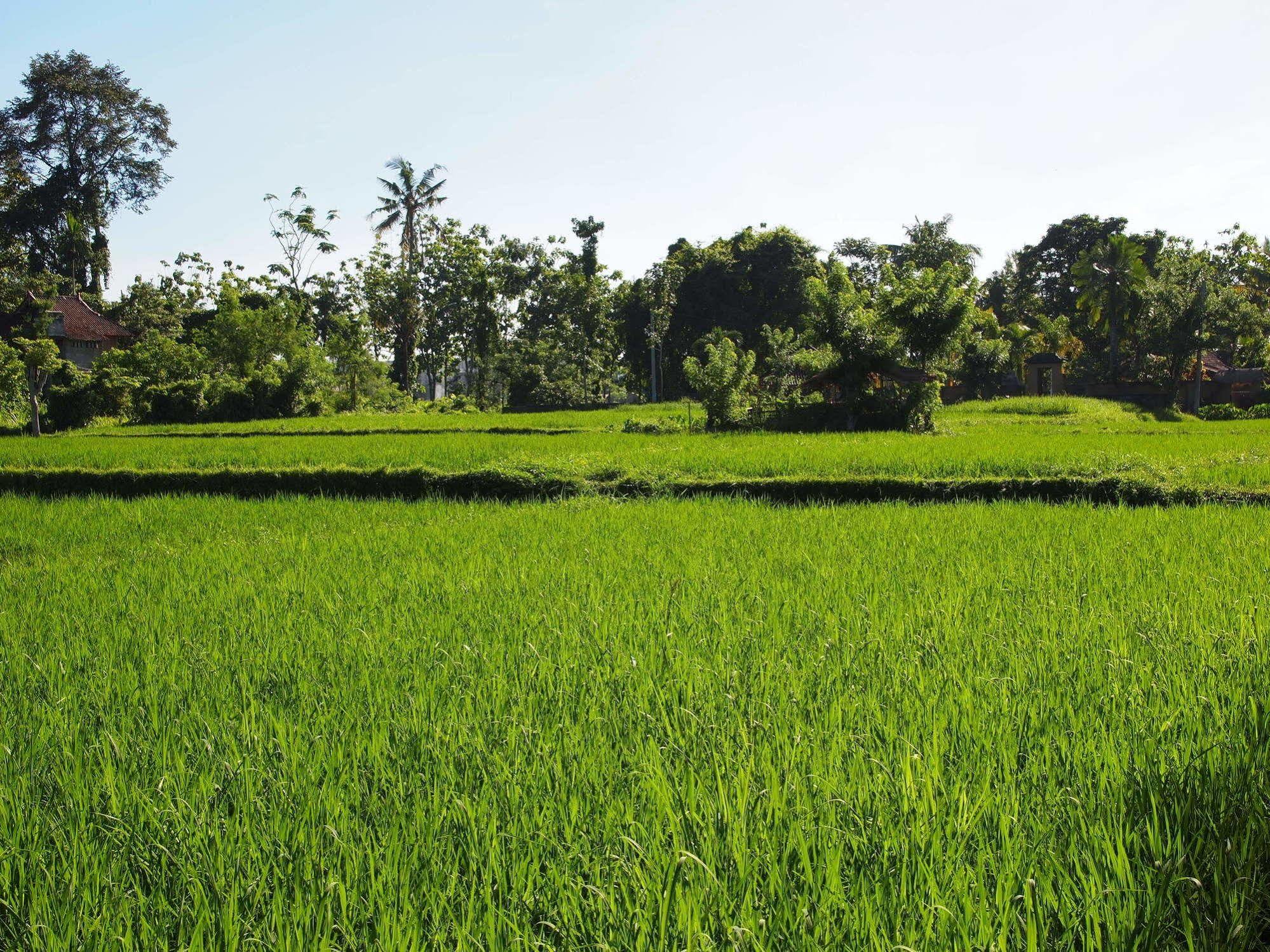 Saren Indah Hotel - CHSE Certified Ubud Exterior foto